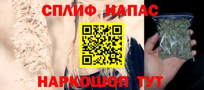 прущие грибы Бийск