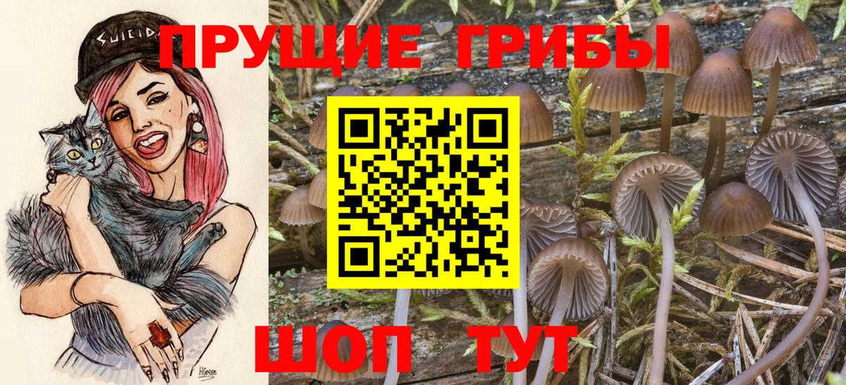 Галлюциногенные грибы ЛСД Заводоуковск