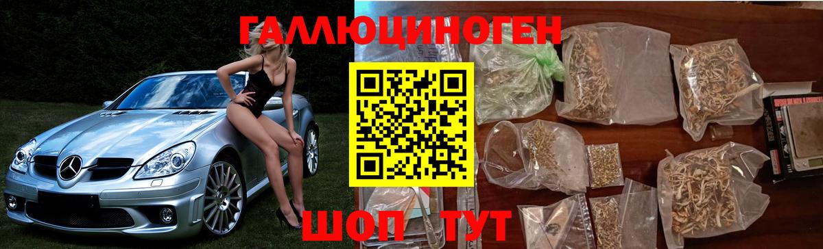 Галлюциногенные грибы мицелий  купить наркотики сайты  Заводоуковск  Галлюциногенные грибы Magic Shrooms  Вход с VPN 
